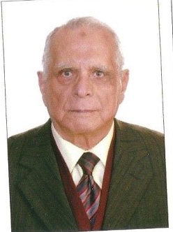 Prof. Mahmoud Mohammed Mostafa El-Borai